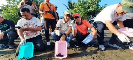 Pelepasan Tukik dan Bersih Pantai Banjar Bersama Wakil Bupati Buleleng 